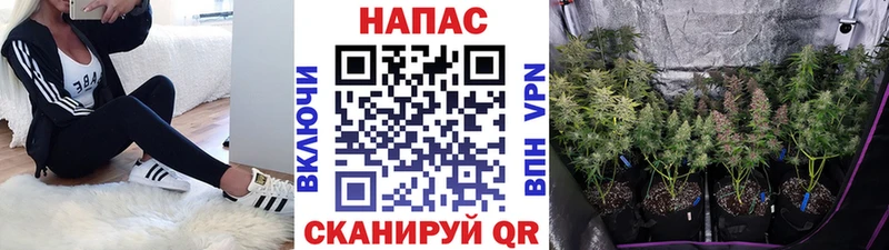 Шишки марихуана Bruce Banner  Купить  Алексин 